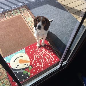 Meet your Posher, Twyla